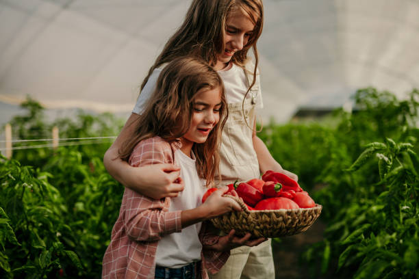 istock Girls enjoying on a farm 1386115328