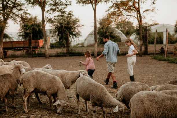 istock Domestic animals and people 1386123042