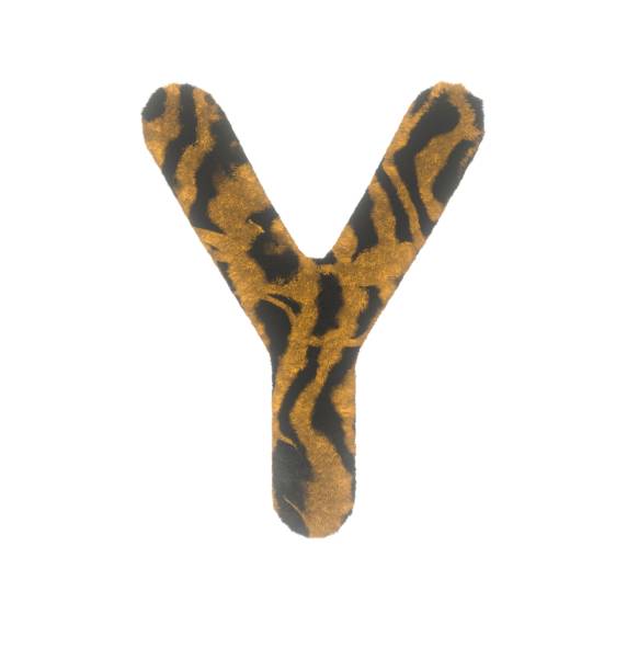 istock Furry Tiger Themed Font With White Background Letter Y 1386125389