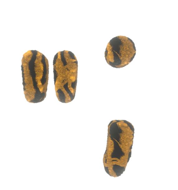 istock Furry Tiger Themed Font With White Background Quotation Mark and Comma and Period 1386127002