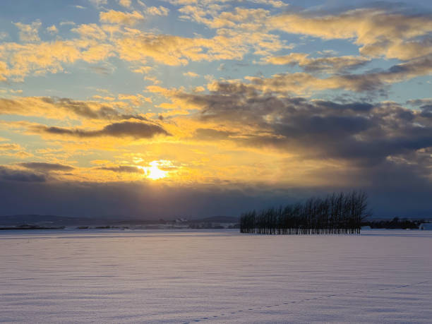 istock Snowfield in the sunset 1386145870
