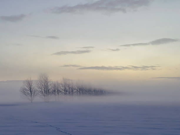 istock Snowfields and forests in the morning 1386145881