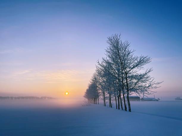 istock The rising forest and snow fields of the morning sun 1386148687
