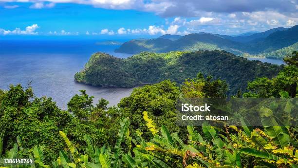 Maracas Beach Lookout Trinidad And Tobago Stock Photo - Download Image Now - Tobago, Beach, Forest
