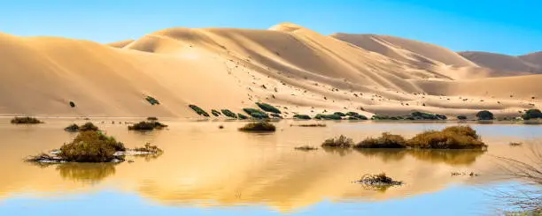 Namibia, reflection of the dunes in the Namib desert, lake in raining season, beautiful landscape in Dead Vlei