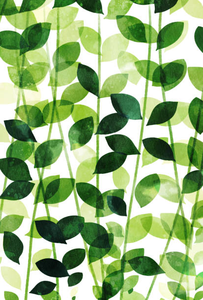 아름다운 수채화 식물의 잎의 그림 - backgrounds ivy leaf green stock illustrations