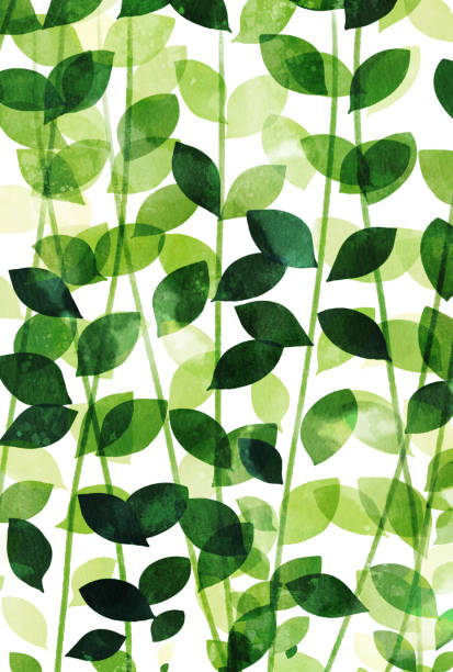 иллюстрация листьев красивых акварельных растений - backgrounds ivy leaf green stock illustrations