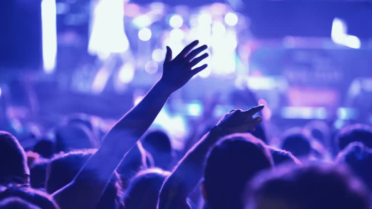Rear view of large group of people enjoying a concert performance in a blue lit silhouettes.