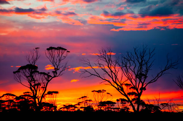 Sunrise in the Outback - Australia
