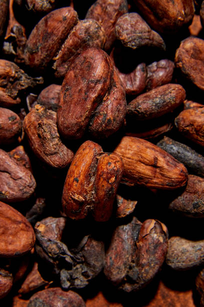istock Flat lay macro unpeeled cocoa bean, top view, Whole coco 1386172143