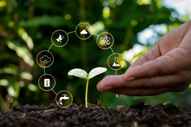 istock Hands are driving water, plants, and trees growing on soil with eco concept plant growth factor icon. earth day cards protect the environment keep the world clean 1386172700