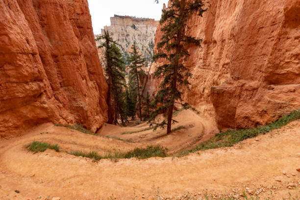 istock At Bryce Canyon National Park, Peek-a-boo trail 1386172794