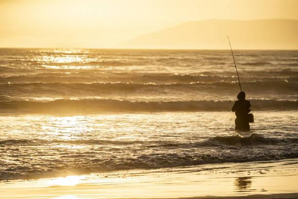 Man surf casting fishing in the Pacific Ocean Man surf casting fishing in the Pacific Ocean sea fishing stock pictures, royalty-free photos & images