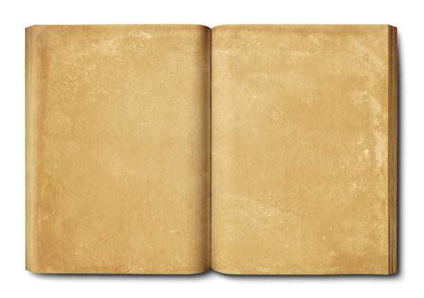 istock Vintage open book isolated on white background 1386173727
