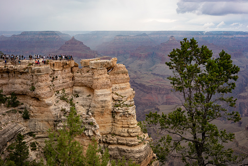 Southwest USA outdoors: On the South Rim of the Grand Canyon