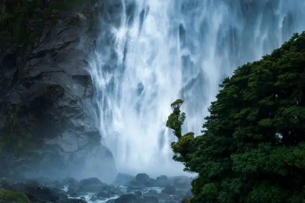 Photo of Lady Bowen Falls in Milford Sound with Southern Rata forest in foreground, South Island.