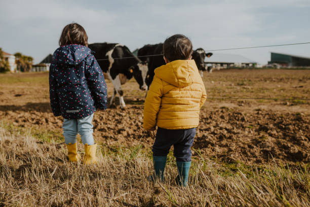 Brother And Sister Watching Cows