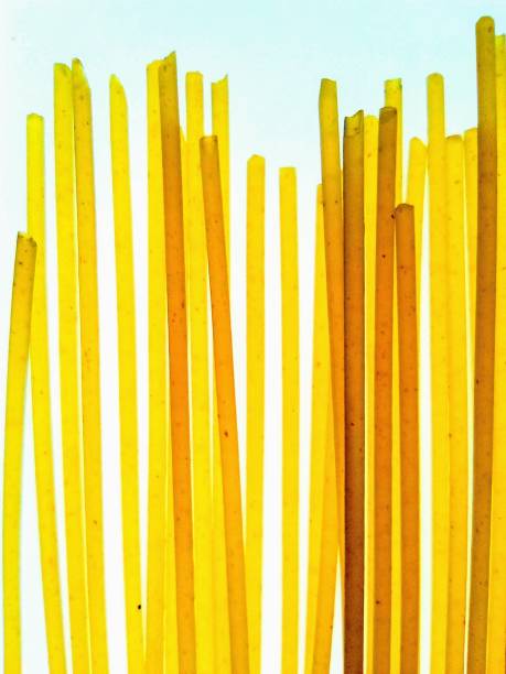 Macro photography of spaghetti pasta