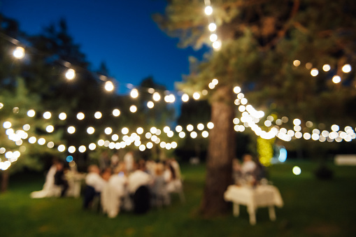Blurred image of Decorative outdoor lighting lamps in the forest at a wedding party. Edison lamps on coniferous trees.