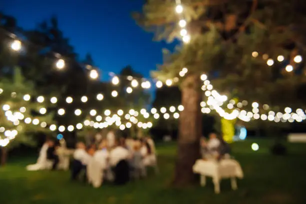 Photo of Blurred image of Decorative outdoor lighting lamps in the forest at a wedding party. Edison lamps on coniferous trees