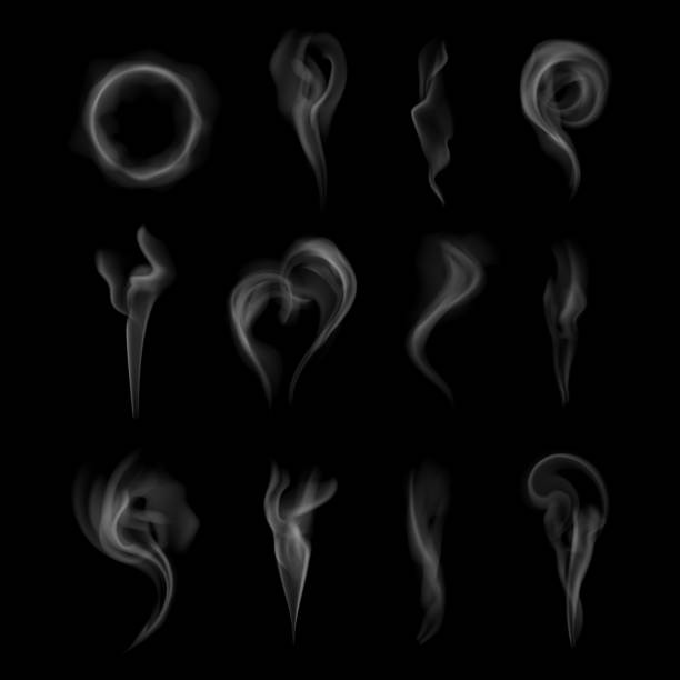 ilustrações de stock, clip art, desenhos animados e ícones de realistic vertical cigarette smoke collection vector fog effect fire elements transparent mist steam - cigarette tobacco symbol three dimensional shape