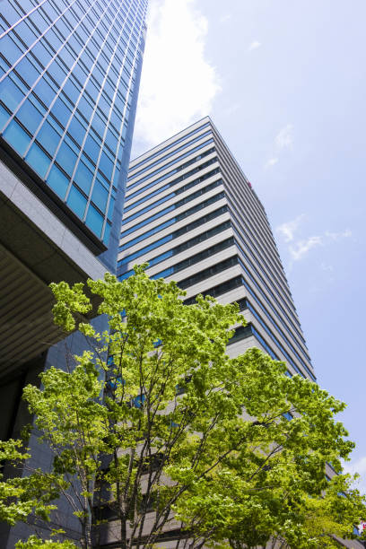 istock Fresh green in the city 1386184705