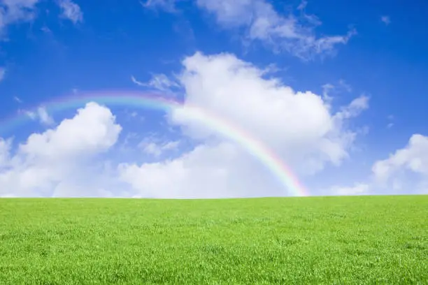 A meadow with a refreshing early summer breeze. A beautiful natural landscape with a rainbow over the beautiful sky that is clear and sunny.