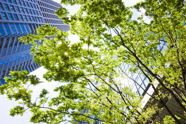 istock Fresh green in the city 1386185181