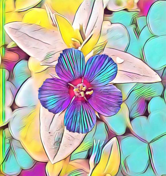 Here is a picture of a flower  in different colours.