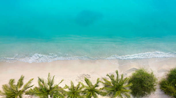 vue aérienne avec vague bleue douce de l’océan sur la plage et fond de vague douce. - mer des caraïbes photos et images de collection