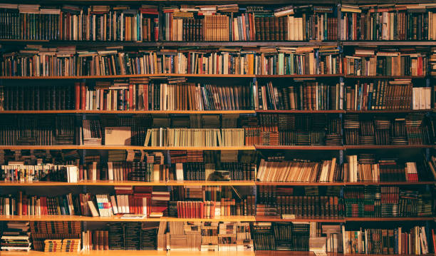 knowledge - bookstore imagens e fotografias de stock