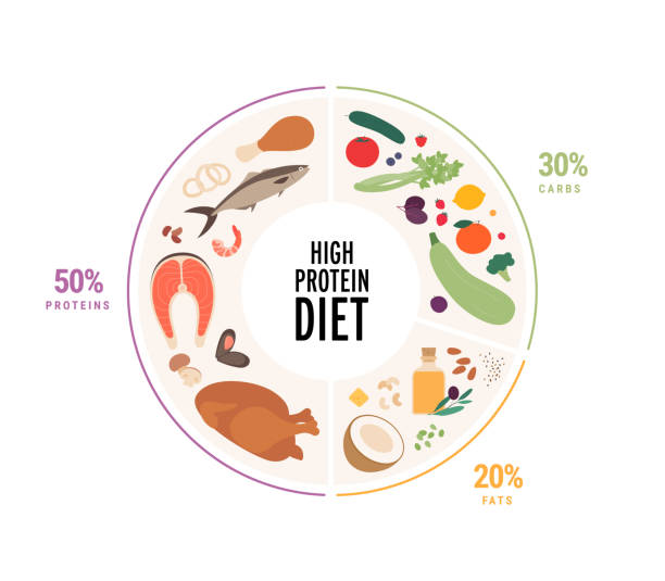 ilustraciones, imágenes clip art, dibujos animados e iconos de stock de concepto de guía alimentaria. vector plano ilustración moderna. pérdida de peso dieta baja en carbohidratos infografía de plato de alimentos con etiqueta y porcentaje. colorido icono de comida, carne, aceite y verduras enmarcado en un marco circular. - dieta paleolítica