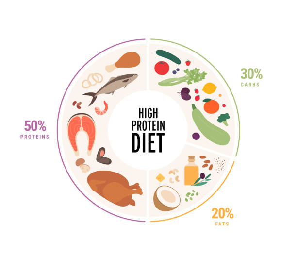Food guide concept. Vector flat modern illustration. Weight loss low carbohydrate diet food plate infographic with label and percent. Colorful food, meat, oil and vegetables icon set in circle frame. Food guide concept. Vector flat modern illustration. Weight loss low carbohydrate diet food plate infographic with label and percent. Colorful food, meat, oil and vegetables icon set in circle frame. paleo stock illustrations