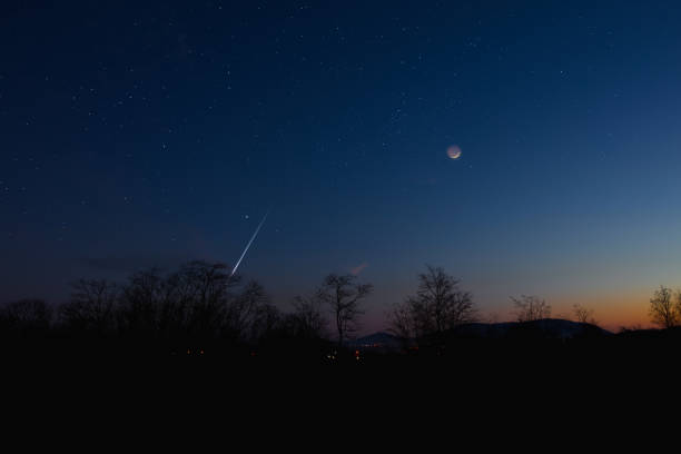Crescent Moon with stars, planets and tree silhouettes on evening sky.