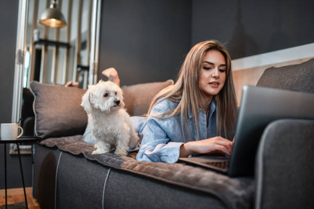 istock Cute Female Using Laptop While Dog Watches 1386198933