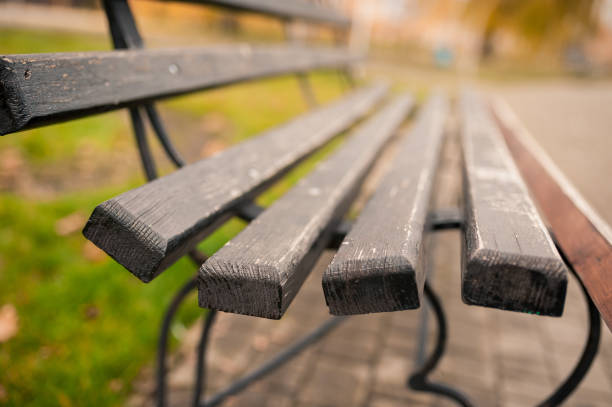 istock empty bench in autumn park with nobody. 1386199264