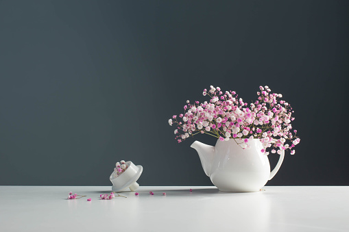 pink gypsophila in white teapot on background gray wall