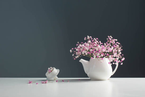 pink gypsophila in white teapot on background gray wall - cut flowers white small still life imagens e fotografias de stock