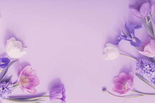 beautiful flowers on paper background