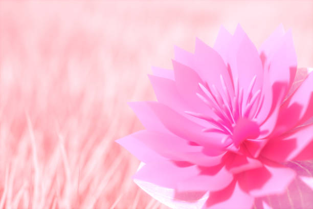 Flowers with grass meadow field and trees beautiful summer spring nature background