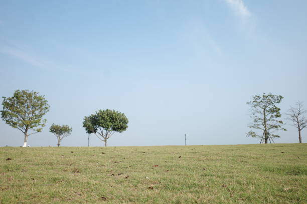 istock Blue sky, green grass and small trees 1386209525
