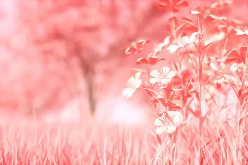 Pretty wallpapers hot sale