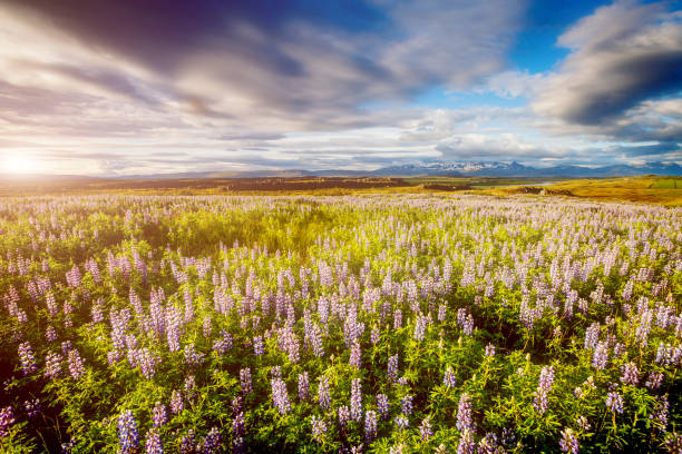 istock Typical icelandic panorama. Location Iceland, Europe. 1386214387