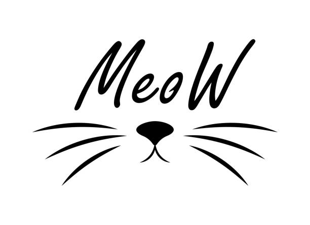 Cat meow print, simple t-shirt design template, black line art cute fun animal kitty head, nose and whisker mustache. Simple doodle graphic isolated vector illustration. Hand drawn pet poster. Cat meow print, simple t-shirt design template, black line art cute fun animal kitty head, nose and whisker mustache. Simple doodle graphic isolated vector illustration. Hand drawn pet poster. animal whisker stock illustrations