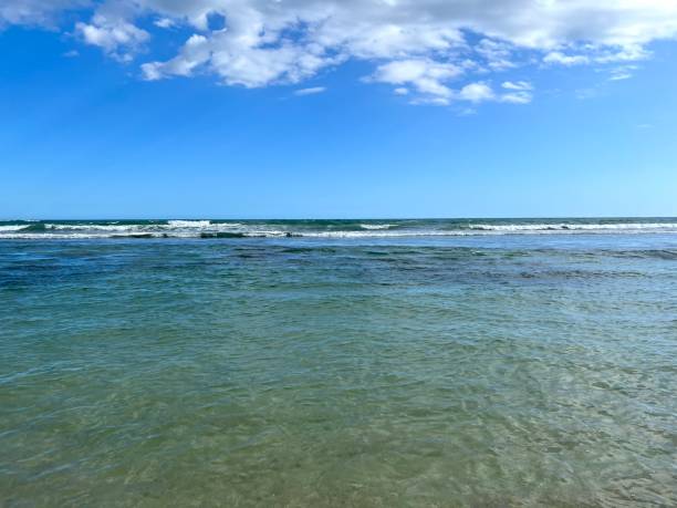 istock Juan Dolio  Dominican Republic 1386218538