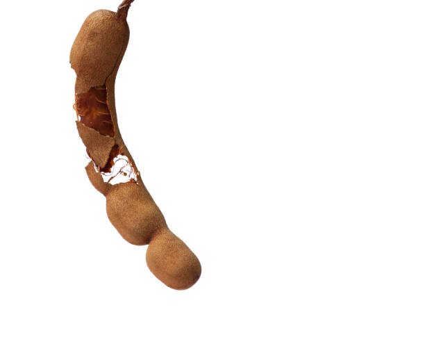 istock Tamarind fruit with seed isolated on white background with copy space for your text. 1386222472