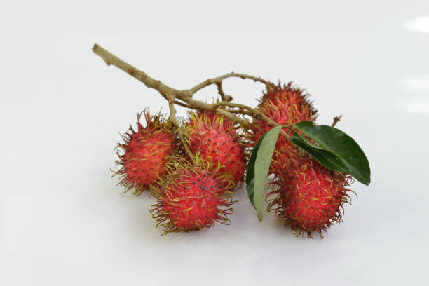 istock Red rambutan isolated on white background 1386225778