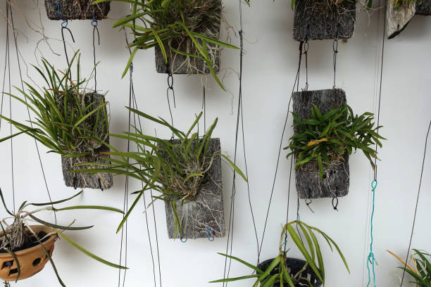 istock Beautiful vertical garden at at public housing block 1386225814