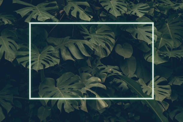 istock Square frame, Creative layout made of tropical flowers and leaves with paper card note. Flat lay. Blank for advertising card or invitation. Flat lay. Nature concept. 1386228623