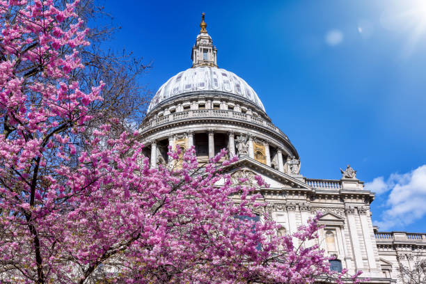istock Spring in London with colorful sakura cherry tree blossoms 1386235500